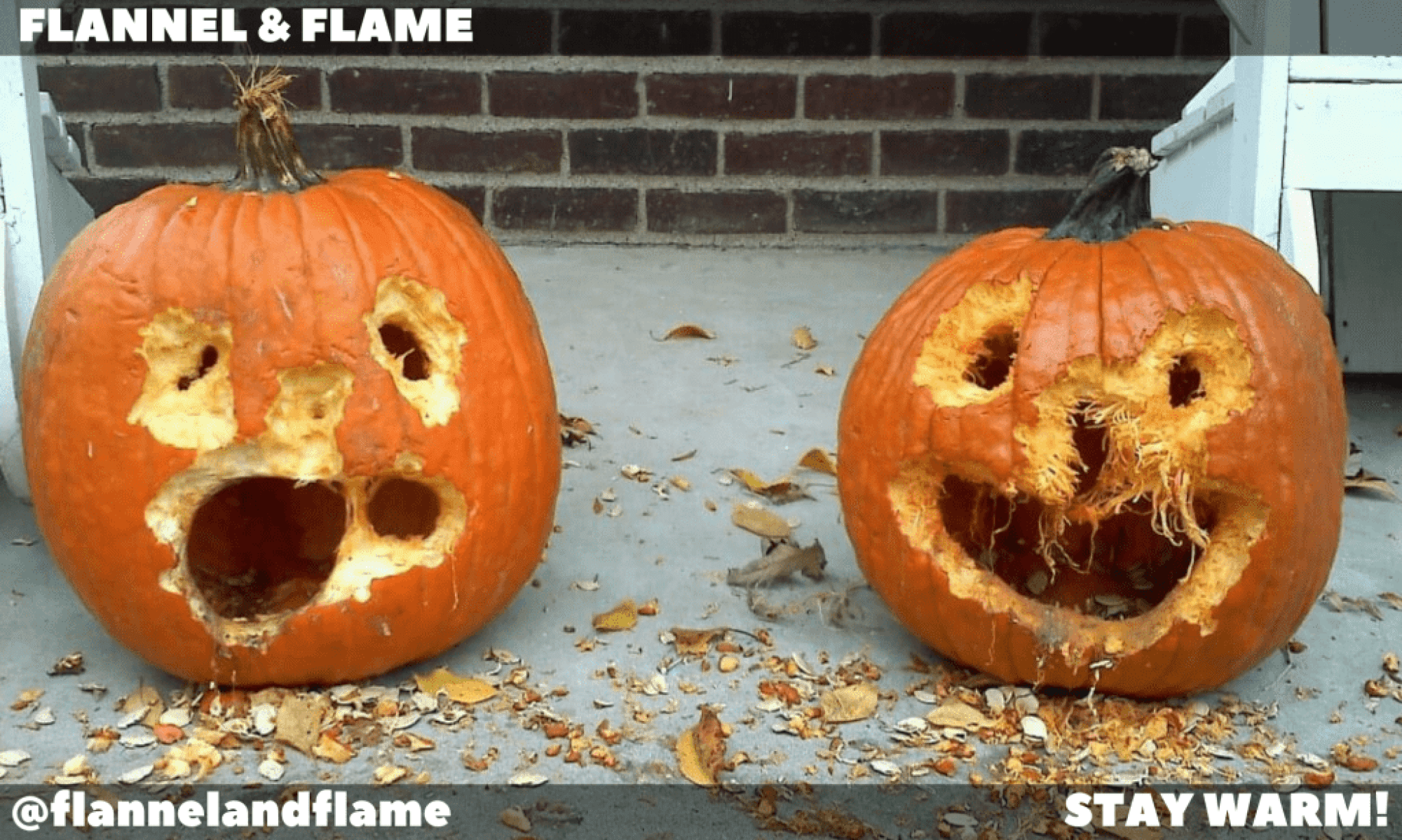 Squirrel Pumpkins Featured image - How to Train Squirrels to Carve your Pumpkin