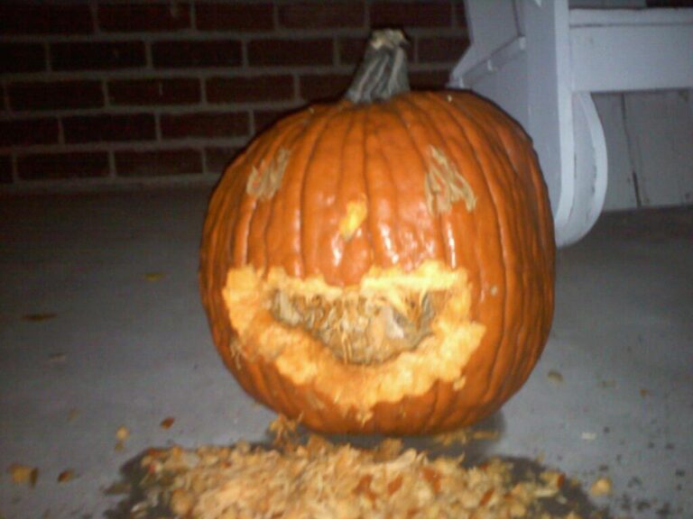 How to Train Squirrels to Carve your Pumpkin this Halloween Flannel